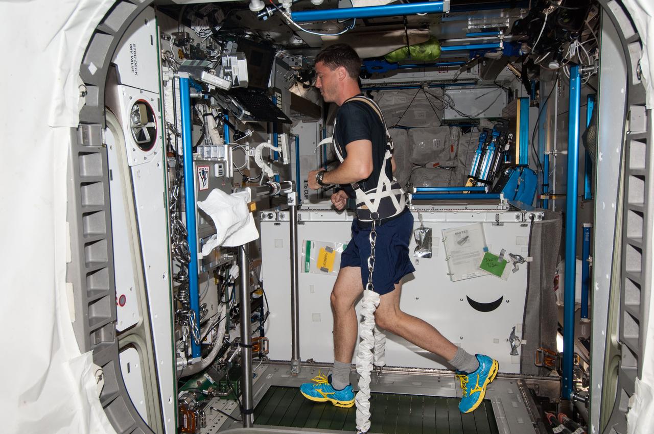 ISS040-E-006087 (31 May 2014) --- NASA astronaut Reid Wiseman, Expedition 40 flight engineer, equipped with a bungee harness, exercises on the Combined Operational Load Bearing External Resistance Treadmill (COLBERT) in the Tranquility node of the International Space Station.