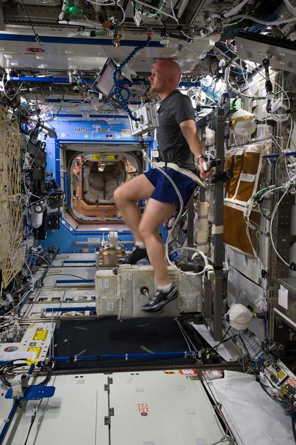 NASA image: Gerst in U.S. Laboratory