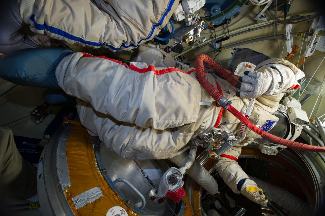 ISS040-E-013826 (17 June 2014) --- This is the Orlan spacesuit of Russian cosmonaut Alexander Skvortsov, Expedition 40 flight engineer. Skvortsov and fellow cosmonaut Oleg Artemyev readied their Russian Orlan suits early on June 17 in preparation for a scheduled spacewalk on June 19.