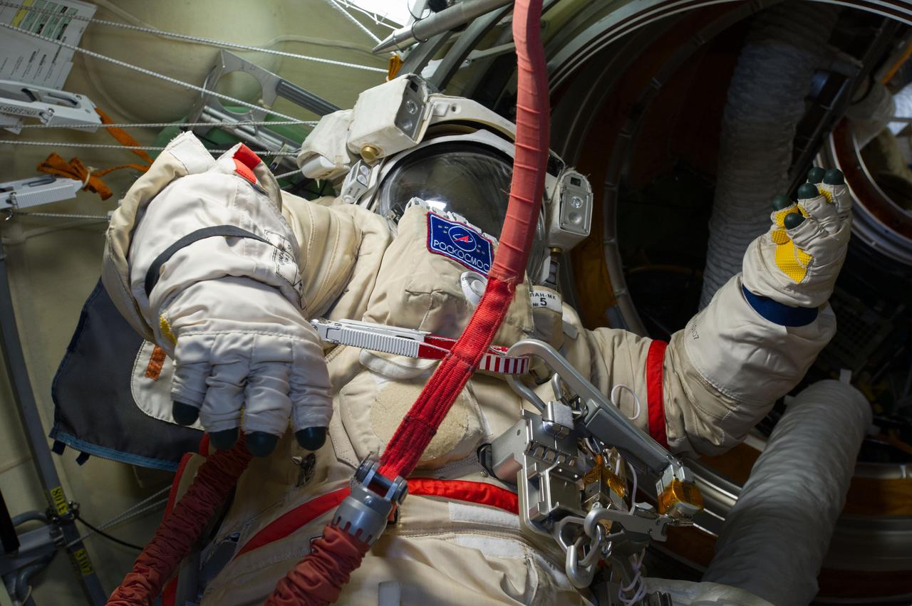 ISS040-E-013827 (17 June 2014) --- This is the Orlan spacesuit of Russian cosmonaut Alexander Skvortsov, Expedition 40 flight engineer. Skvortsov and fellow cosmonaut Oleg Artemyev readied their Russian Orlan suits early on June 17 in preparation for a scheduled spacewalk on June 19.