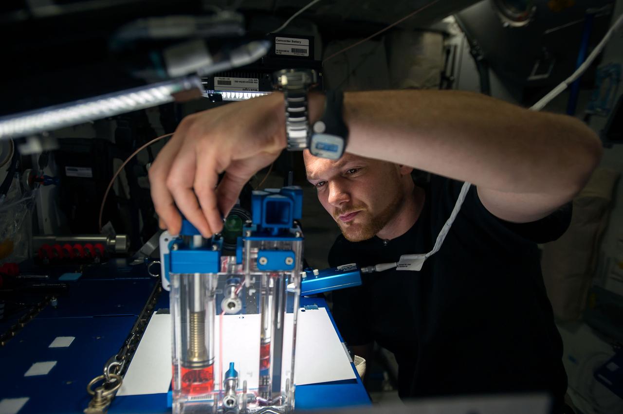 ISS040-E-015536 (19 June 2014) --- European Space Agency astronaut Alexander Gerst, Expedition 40 flight engineer, conducts a session with the Capillary Flow Experiment (CFE-2) in the Harmony node of the International Space Station. CFE is a suite of fluid physics experiments that investigate how fluids behave in microgravity which could benefit water and fuel delivery systems on future spacecraft. Scientists designed the CFE-2 to study properties of fluids and bubbles inside containers with a specific 3-D geometry.
