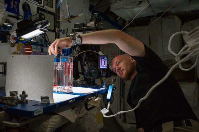 NASA image: Capillary Flow Experiment
