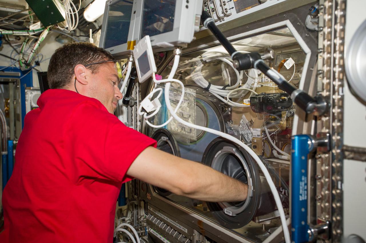 ISS040-E-021546 (26 June 2014) --- NASA astronaut Reid Wiseman, Expedition 40 flight engineer, conducts a combustion experiment known as the Burning and Suppression of Solids (BASS) inside the Microgravity Science Glovebox (MSG) located in the International Space Station?s Destiny laboratory. Without gravity, materials burn quite differently, with a spherical flame instead of the conical shape seen on Earth. BASS is studying the hypothesis that some materials may actually become more flammable in space. Results from BASS will help guide spacecraft materials selection and improve strategies for putting out accidental fires aboard spacecraft. The research also provides scientists with improved computational models that will aid in the design of fire detection and suppression systems here on Earth.