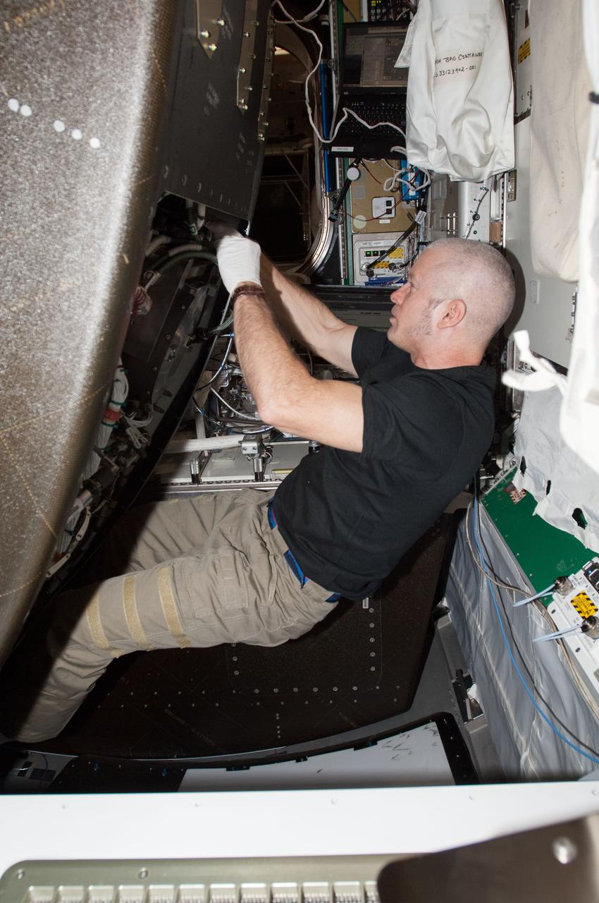 ISS040-E-026305 (1 July 2014) --- NASA astronaut Steve Swanson, Expedition 40 commander, performs in-flight maintenance behind a rack in the Tranquility node of the International Space Station.
