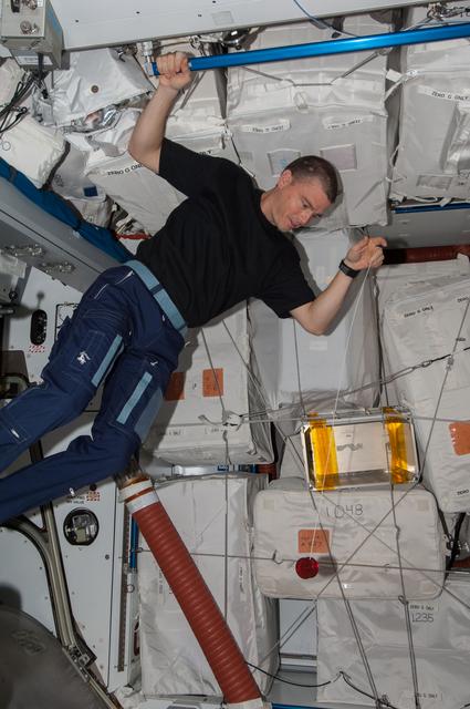 NASA image: Wiseman with yoyo in Node 2