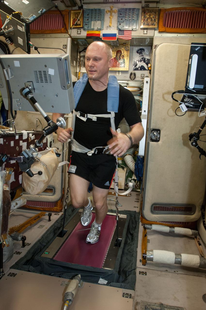 ISS040-E-071309 (23 July 2014) --- Russian cosmonaut Oleg Artemyev, Expedition 40 flight engineer, equipped with a bungee harness, exercises on the Treadmill Vibration Isolation System (TVIS) in the Zvezda Service Module of the International Space Station.