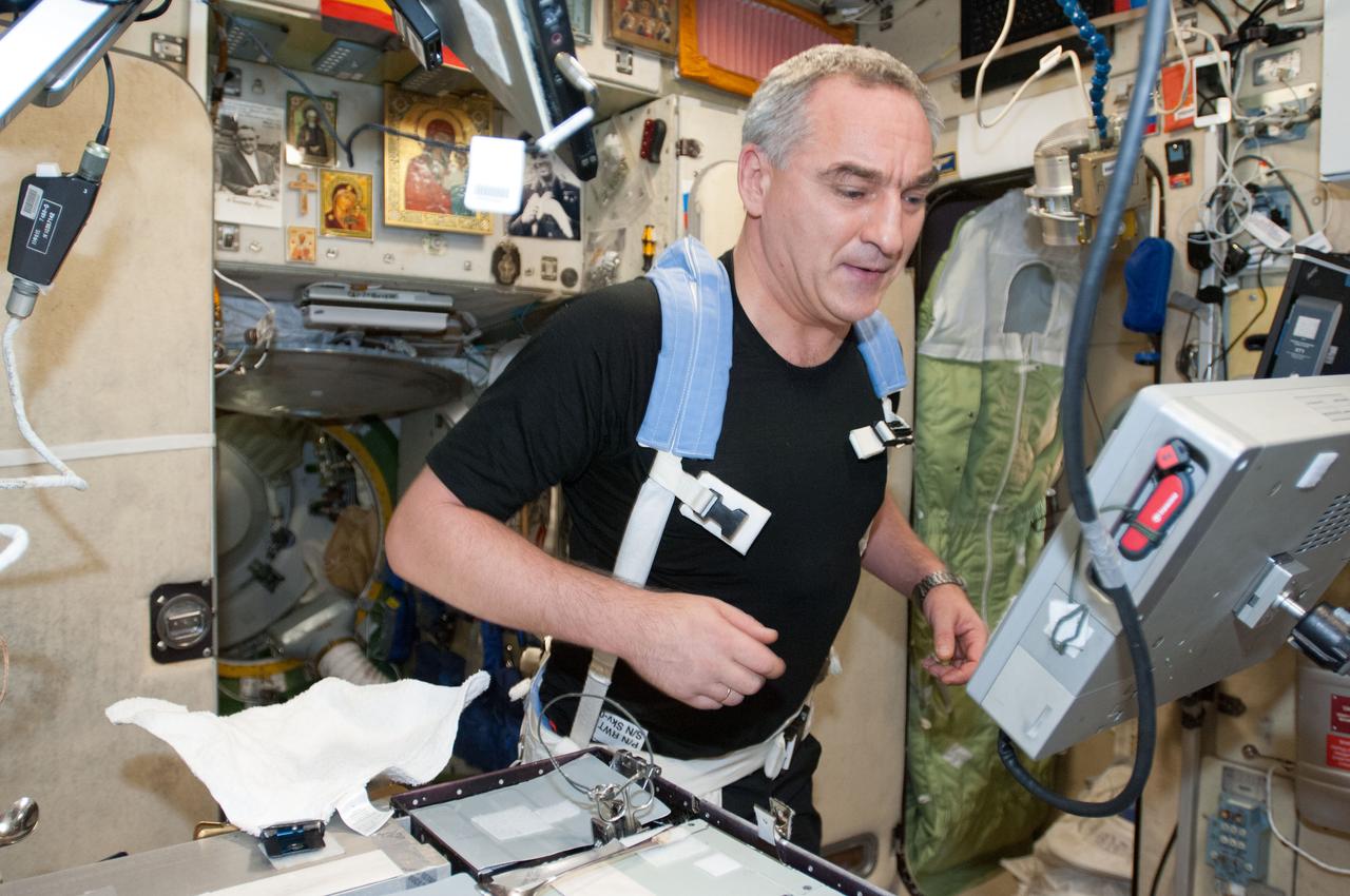 ISS040-E-074764 (24 July 2014) --- Russian cosmonaut Alexander Skvortsov, Expedition 40 flight engineer, equipped with a bungee harness, exercises on the Treadmill Vibration Isolation System (TVIS) in the Zvezda Service Module of the International Space Station.
