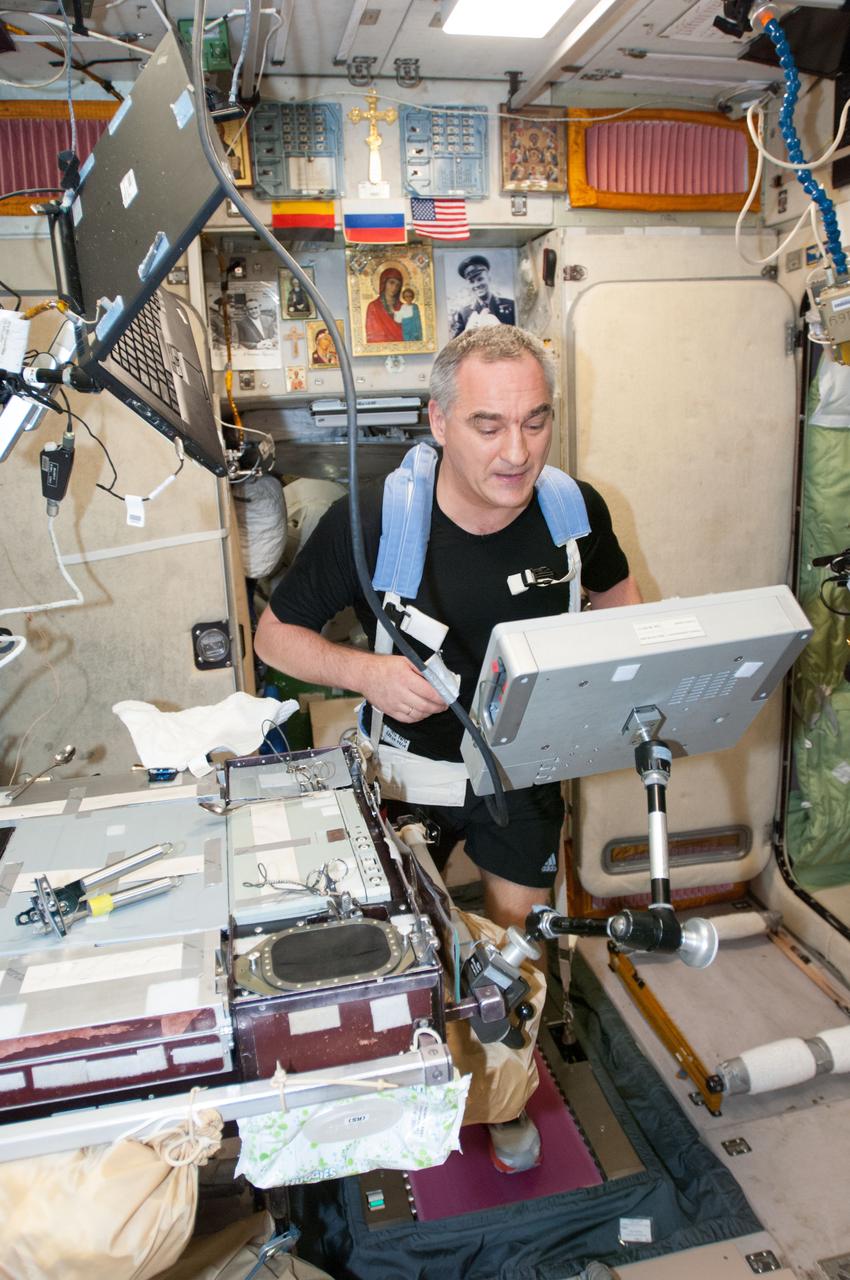 ISS040-E-074768 (24 July 2014) --- Russian cosmonaut Alexander Skvortsov, Expedition 40 flight engineer, equipped with a bungee harness, exercises on the Treadmill Vibration Isolation System (TVIS) in the Zvezda Service Module of the International Space Station.