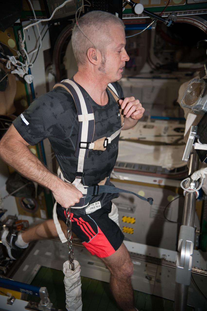ISS040-E-074769 (23 July 2014) --- NASA astronaut Steve Swanson, Expedition 40 commander, equipped with a bungee harness, exercises on the Combined Operational Load Bearing External Resistance Treadmill (COLBERT) in the Tranquility node of the International Space Station.
