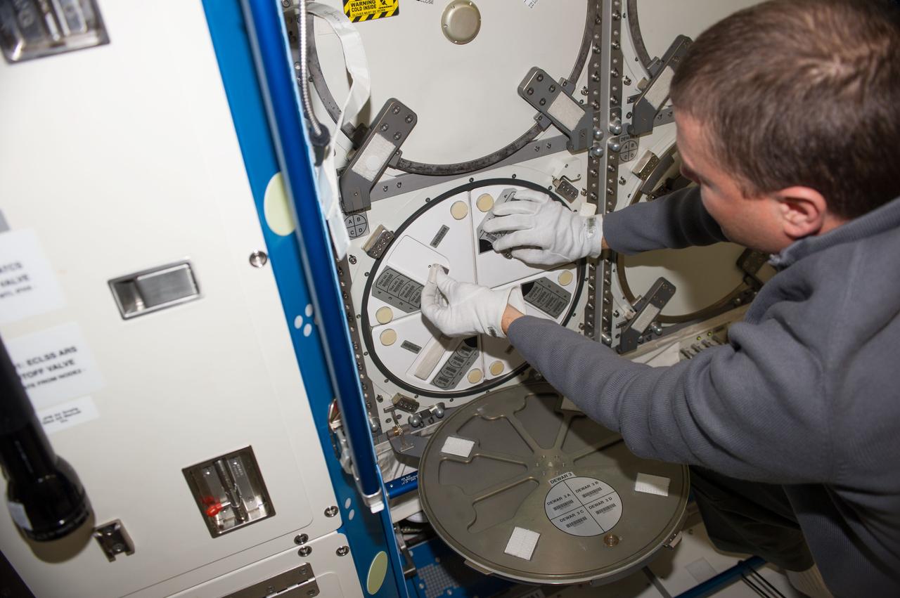 ISS040-E-085159 (1 Aug. 2014) --- NASA astronaut Reid Wiseman, Expedition 40 flight engineer, works with Minus Eighty-Degree Laboratory Freezer for ISS (MELFI) dewars in the Destiny laboratory of the Earth-orbiting International Space Station.