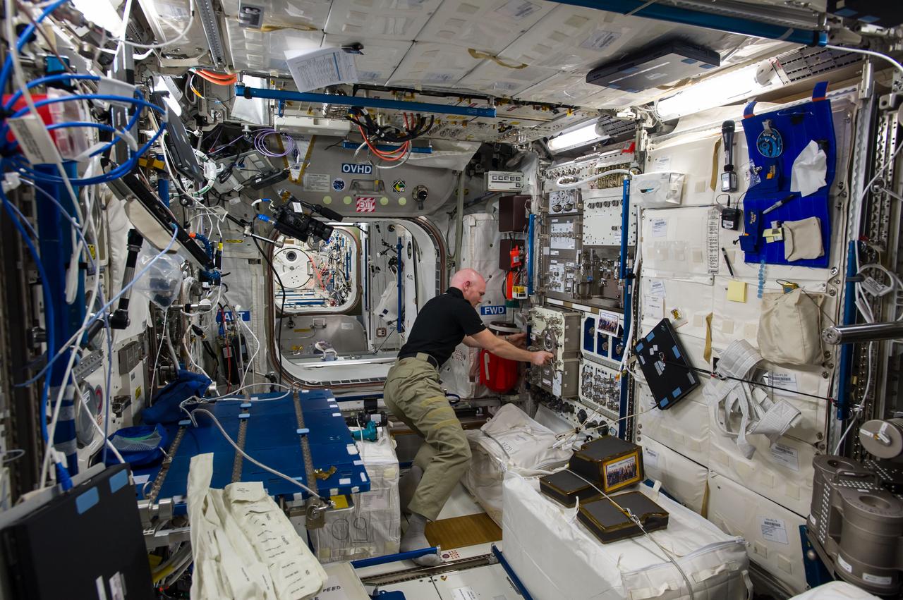 iss040e108050 (8/21/2014) — European Space Agency (ESA) astronaut Alexander Gerst, is shown in the Columbus module of the International Space Station (ISS) during the installation of the Electromagnetic Levitator (EML). The EML multi-user facility is designed for containerless materials processing in space.