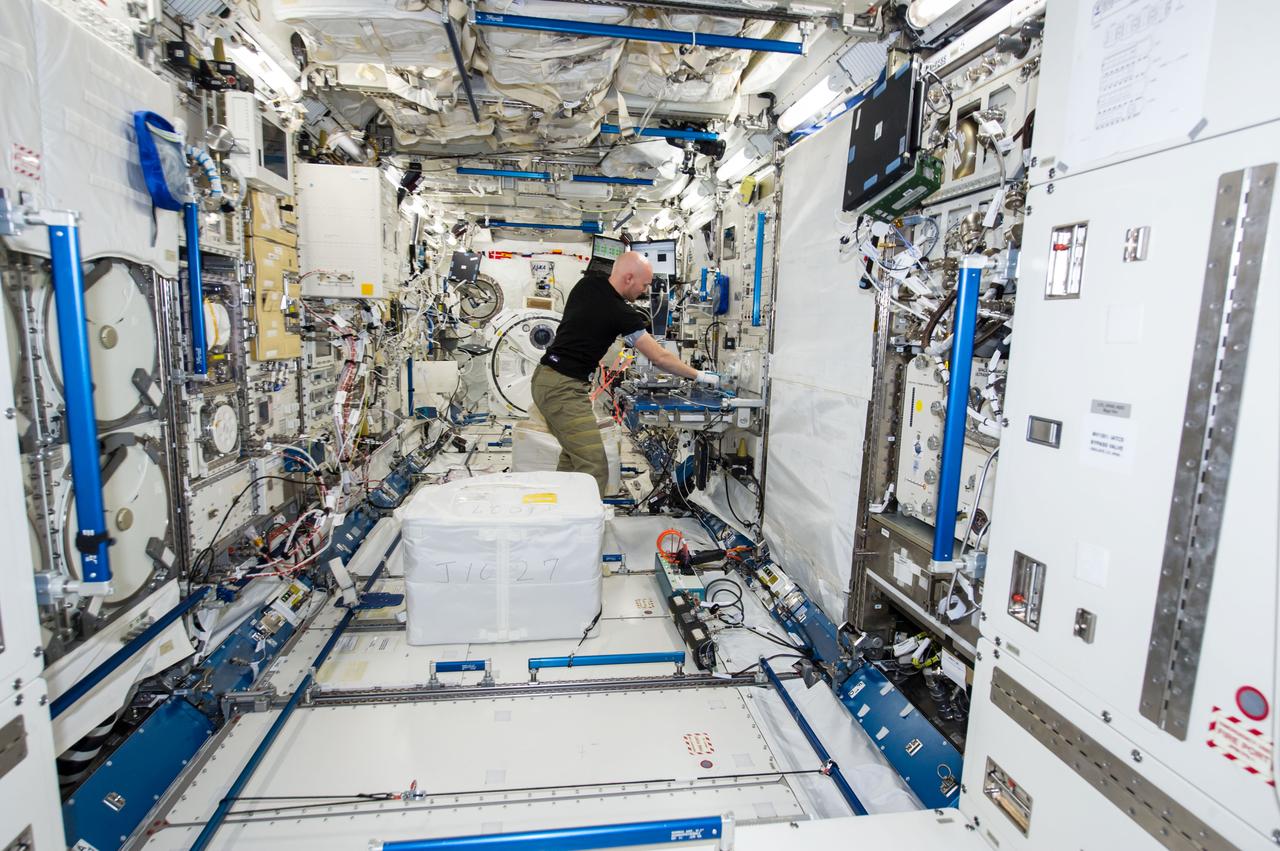 ISS040-E-130230 (9 Sept. 2014) --- European Space Agency astronaut Alexander Gerst, Expedition 40 flight engineer, installs a microscope for the Cell Mechanosensing-2 experiment in the Kibo laboratory of the International Space Station. The Japanese experiment, which is conducted in Kibo’s Kobairo rack, seeks to identify gravity sensors in cells that may change the expression of key proteins and genes and allowing muscles to atrophy in microgravity.