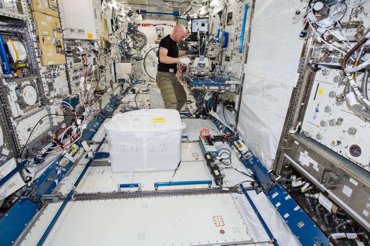 ISS040-E-130231 (9 Sept. 2014) --- European Space Agency astronaut Alexander Gerst, Expedition 40 flight engineer, installs a microscope for the Cell Mechanosensing-2 experiment in the Kibo laboratory of the International Space Station. The Japanese experiment, which is conducted in Kibo’s Kobairo rack, seeks to identify gravity sensors in cells that may change the expression of key proteins and genes and allowing muscles to atrophy in microgravity.
