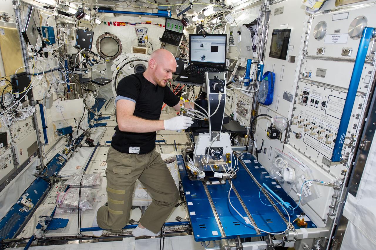 ISS040-E-130233 (9 Sept. 2014) --- European Space Agency astronaut Alexander Gerst, Expedition 40 flight engineer, installs a microscope for the Cell Mechanosensing-2 experiment in the Kibo laboratory of the International Space Station. The Japanese experiment, which is conducted in Kibo’s Kobairo rack, seeks to identify gravity sensors in cells that may change the expression of key proteins and genes and allowing muscles to atrophy in microgravity.