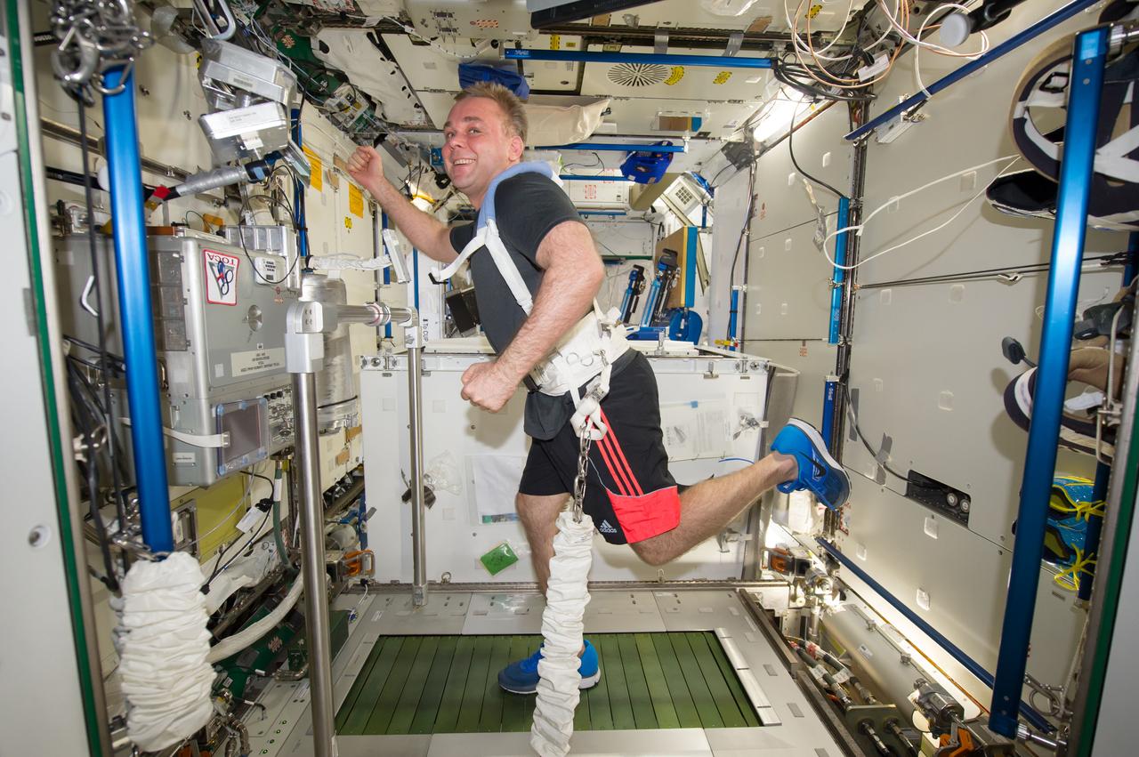 ISS041-E-011476 (15 Sept. 2014) --- Russian cosmonaut Maxim Suraev, Expedition 41 commander, equipped with a bungee harness, exercises on the Combined Operational Load Bearing External Resistance Treadmill (COLBERT) in the Tranquility node of the International Space Station.