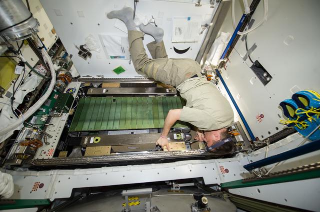 NASA image: T2 Year Maintenance