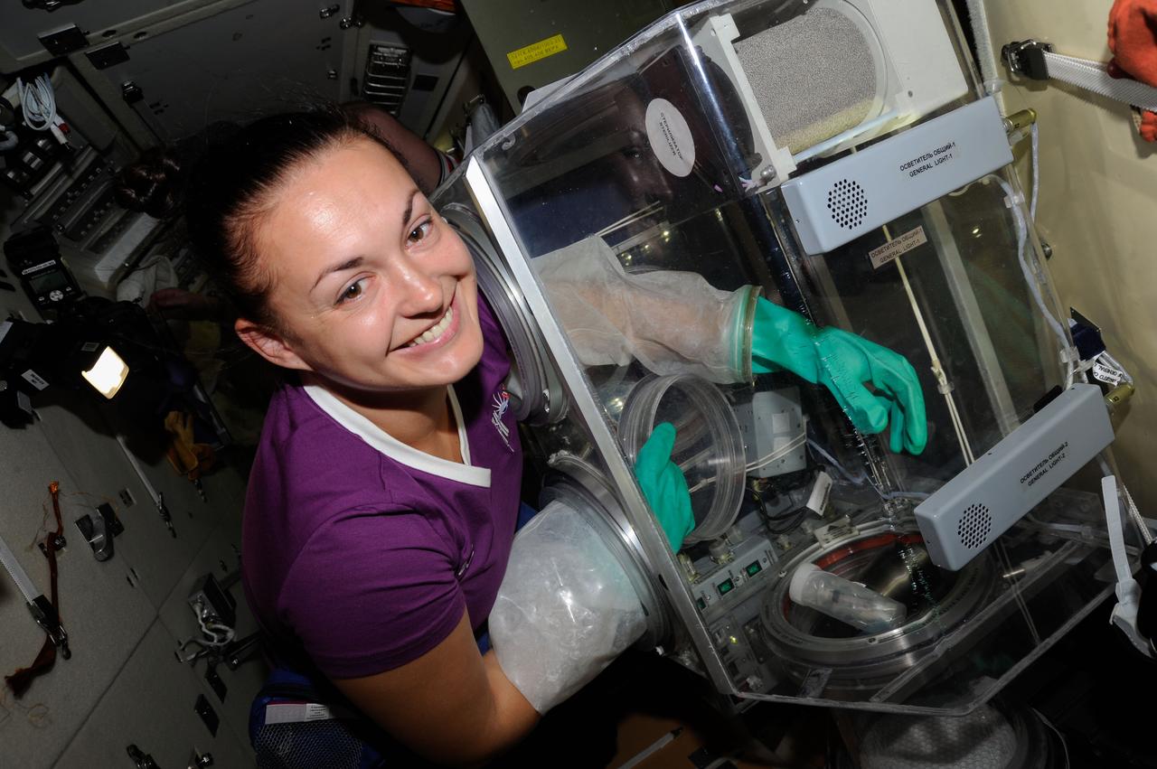 ISS041-E-037551 (29 Sept. 2014) --- Russian cosmonaut Elena Serova, Expedition 41 flight engineer, works with test samples from the Kaskad cell cultivation experiment in a glovebox in the Poisk Mini-Research Module 2 (MRM2) of the International Space Station.