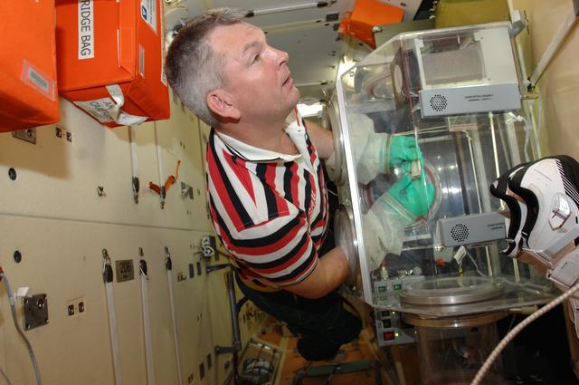 NASA image: Samokutyaev works with the bioscience experiment ASEPTIC