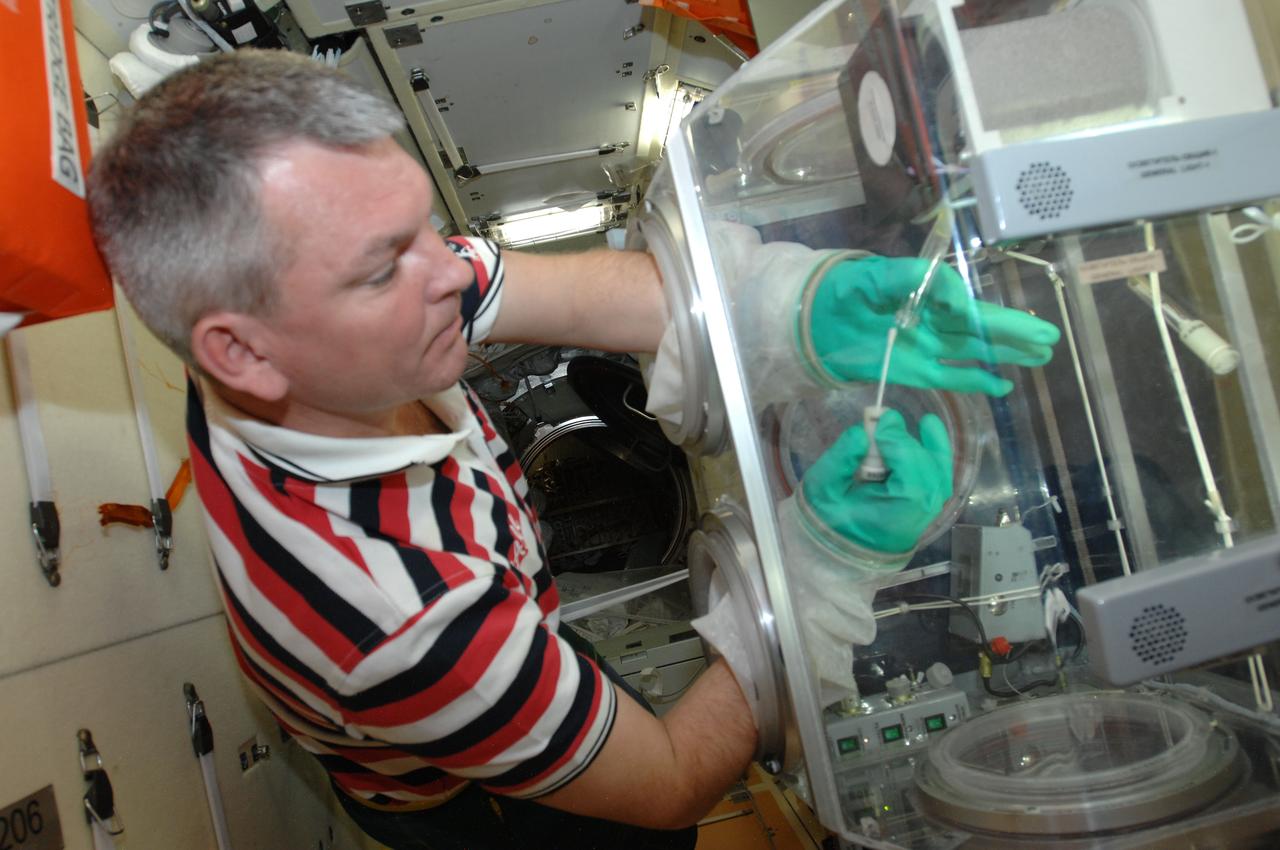 ISS041-E-042459 (30 Sept. 2014) --- Russian cosmonaut Alexander Samokutyaev, Expedition 41 flight engineer, works with test samples in a glovebox in the Poisk Mini-Research Module 2 (MRM2) of the International Space Station.