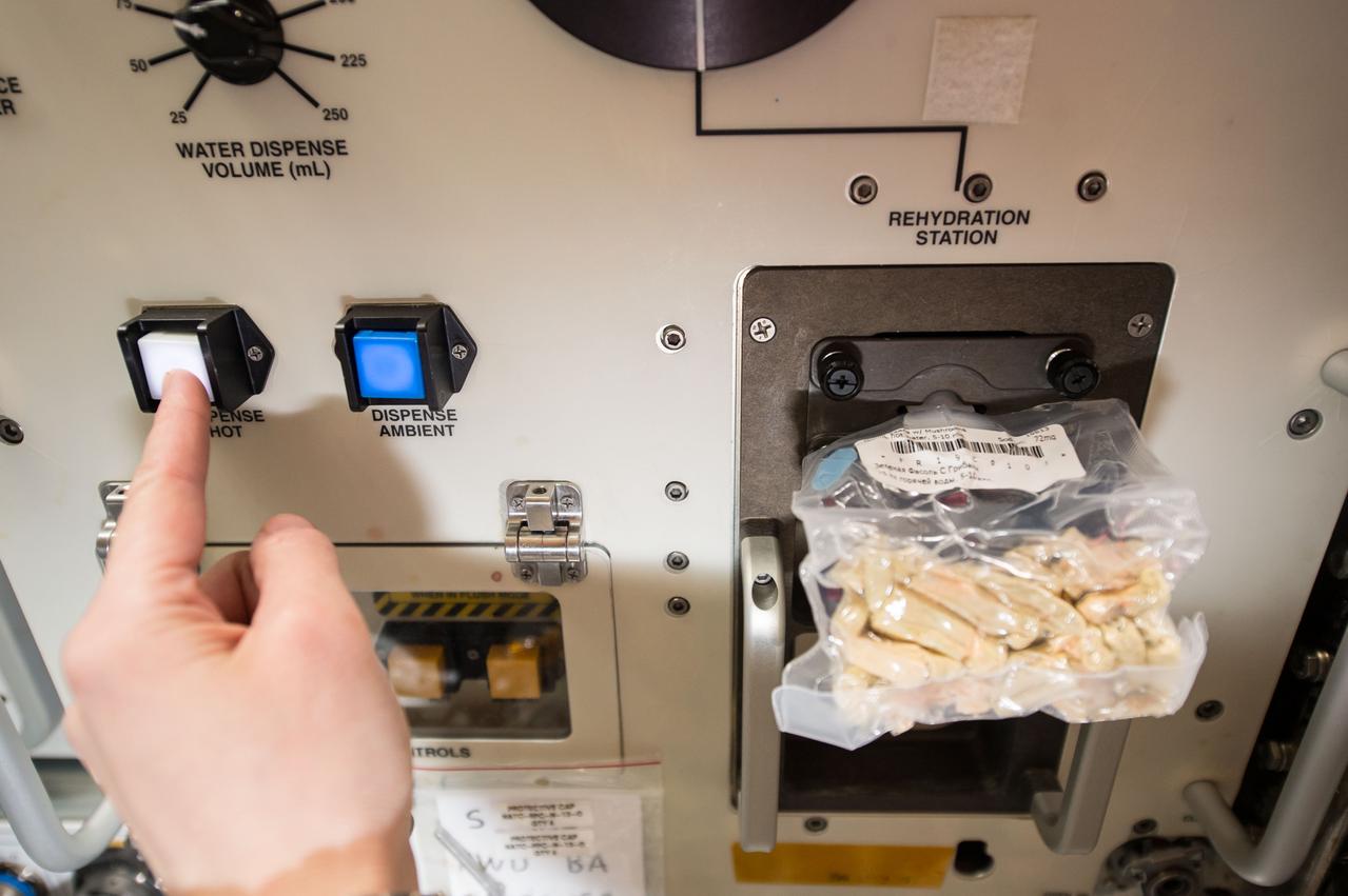 iss042e017210(12/01/2014) --- European Space Agency Astronaut Samantha Cristoforetti prepares her lunch using the space food rehydrator aboard the International Space Station.