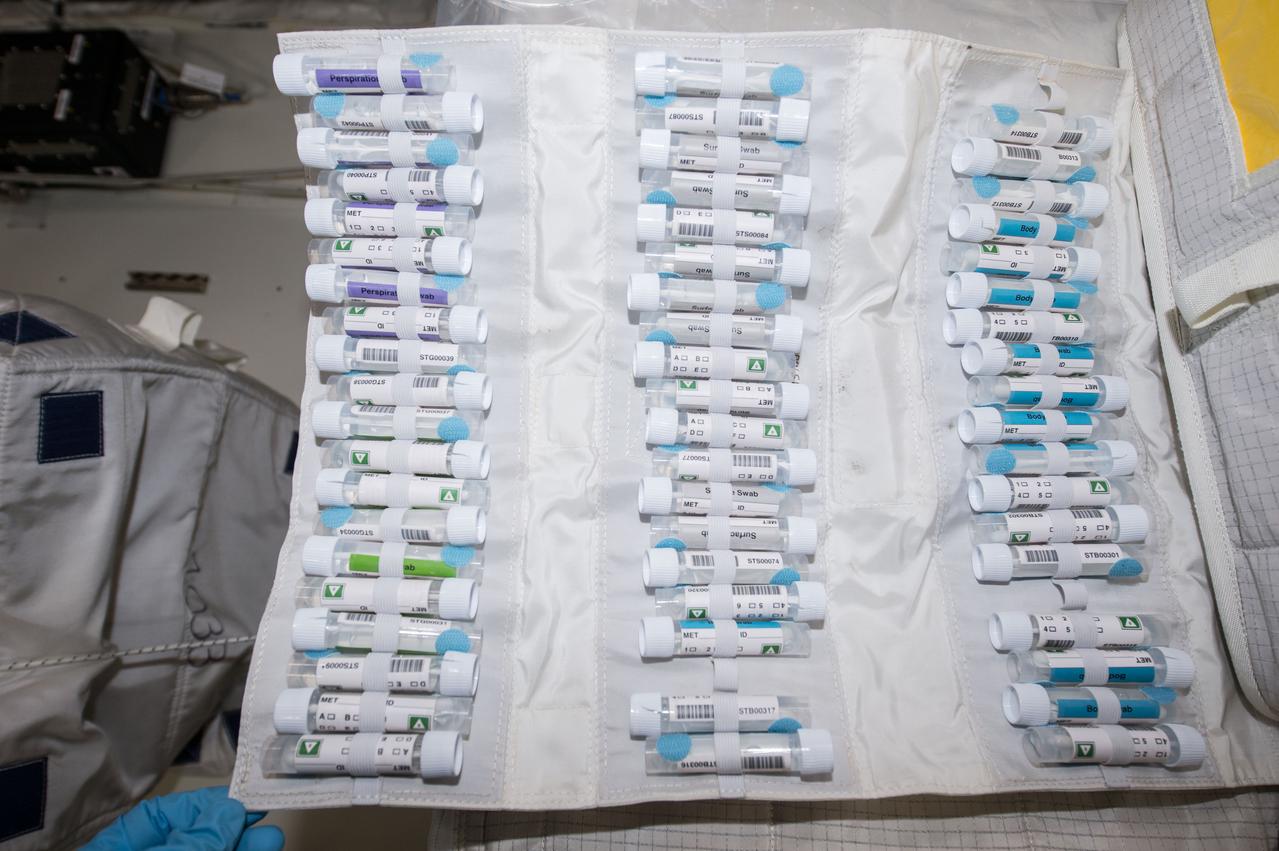 iss042e021395 (12/5/2014) --- A view of Microbiome swab kit containing Microbiome samples from various physical surfaces prior to being stowed in MELFI or GLACIER. The Study of the Impact of Long-Term Space Travel on the Astronauts' Microbiome (Microbiome) experiment investigates the impact of space travel on both the human immune system and an individual’s microbiome (the collection of microbes that live in and on the human body at any given time).