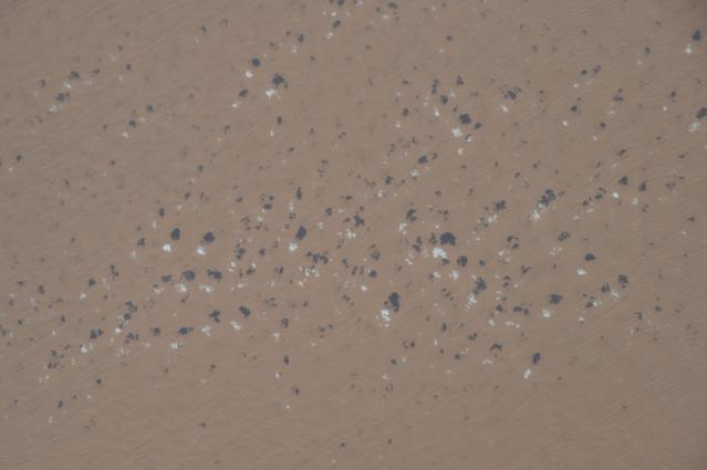 NASA image: iss042e049179