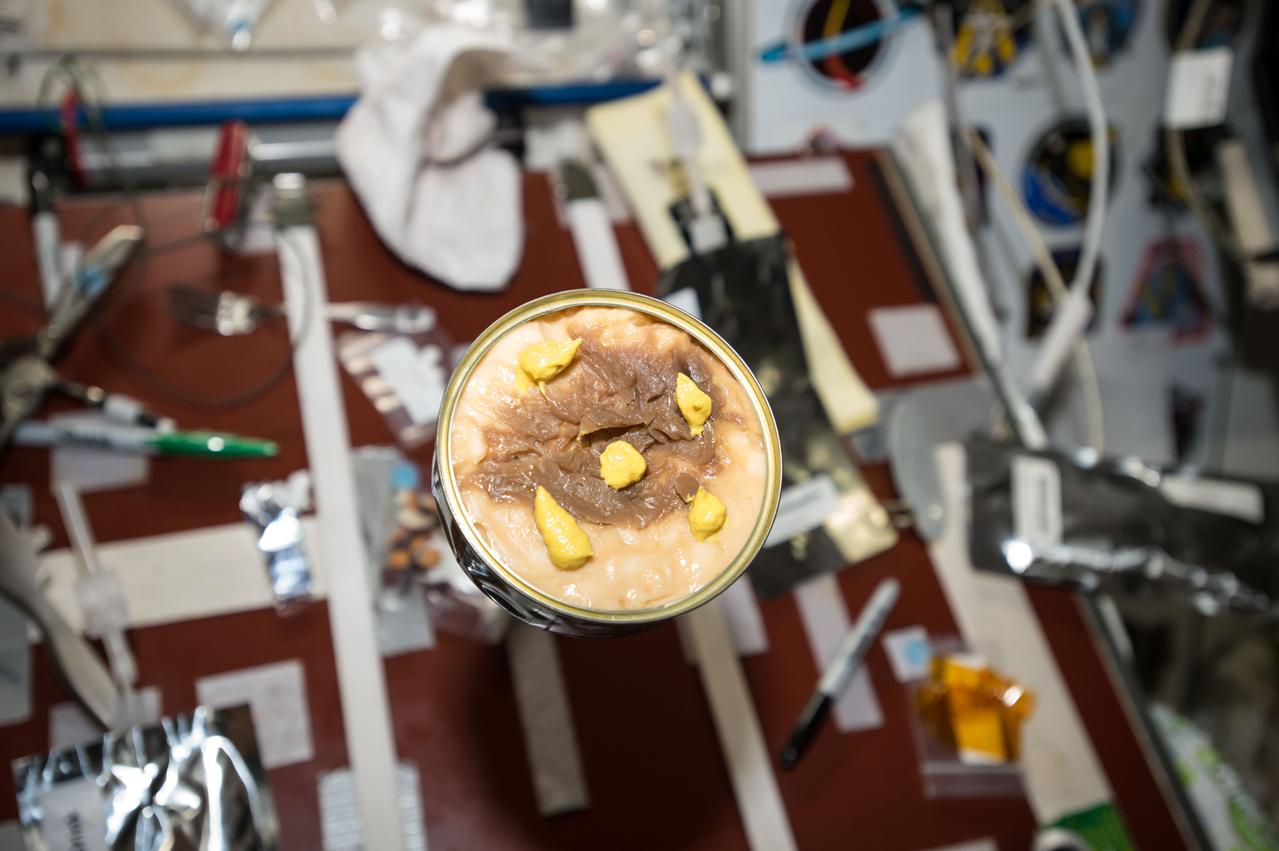 GMT355_18_22_Terry Virts_restricted virts personal items photos_128