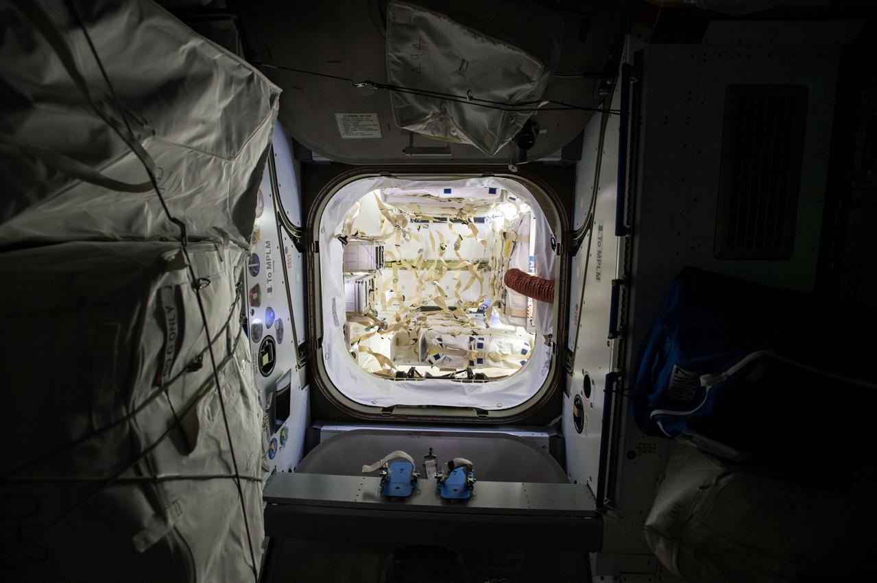 ISS042e136056 (Jan 13, 2015) -- Overall interior view of the SpaceX Dragon Commercial Resupply Services-5 (CRS-5) spacecraft.