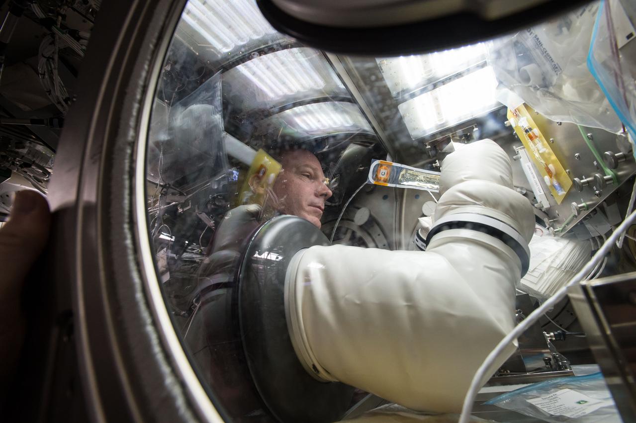 GMT015_23_30_Terry Virts_micro5 dragon pink columbus lab n2 at night_128A