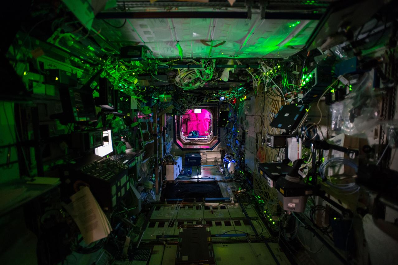ISS042e136094 (Jan 15, 2015) -- Interior view looking forward (FWD) in the Destiny U.S. Laboratory during the crew's sleep period, with the main lights turned off. The pink glow comes from the Vegetable Production System (Veggie) greenhouse, housed in the Columbus European Laboratory.