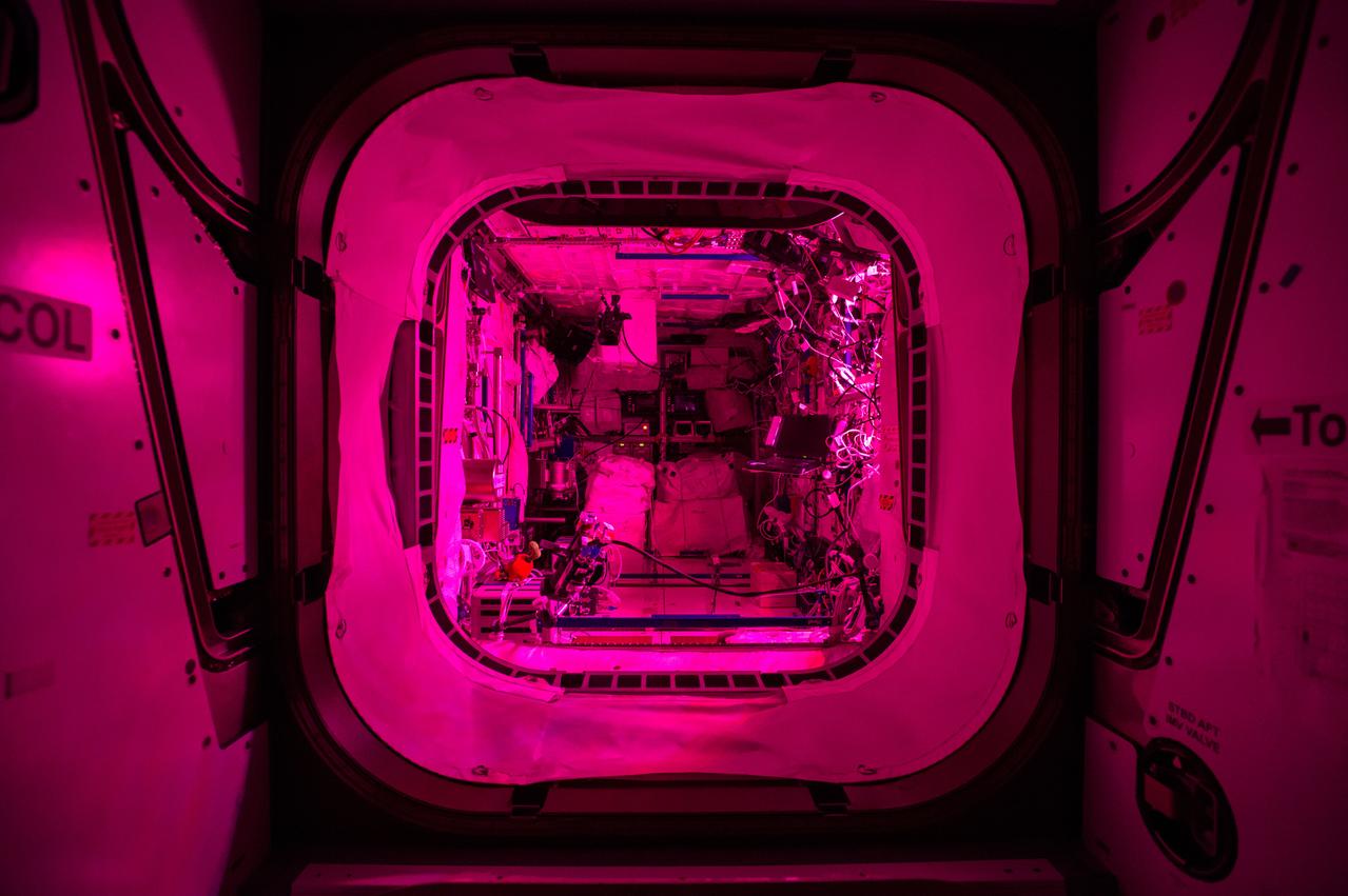 ISS042e136099 (Jan 15, 20105) -- Interior view of the Columbus European Laboratory taken during the crew's sleep period (main lights are turned off). The pink glow comes from the Vegetable Production System (Veggie) greenhouse, housed in the module.