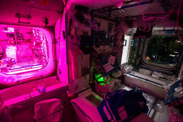 NASA image: Interior View in Node 2