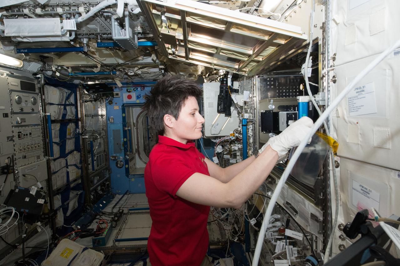 ISS043E087335 (04/03/2015) --- ESA (European Space Agency) astronaut Samantha Cristoforetti works to retrieve samples for the Aniso Tubule experiment from the Cell Biology Experiment Facility (CBEF) on Apr. 3, 2015.  Aniso Tubule examines growth modifications of Arabidopsis hypocotyls in space. Scientists will analyze the changes in dynamics of cortical microtubules and microtubule associated proteins with a fluorescence microscope.