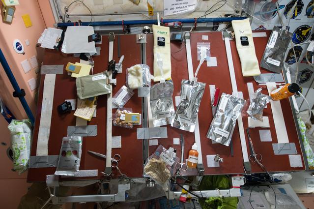NASA image: Food table on ISS