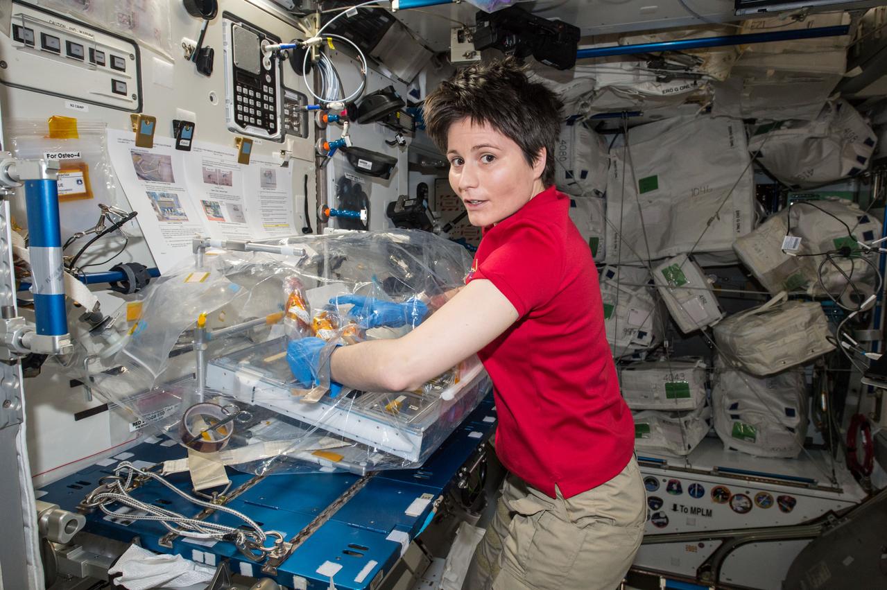 ISS043E122574 (04/19/2015) --- ESA (European Space Station) astronaut Samantha Cristoforetti, a flight engineer on the International Space Station, is seen here unpacking the recently arrived Osteo-4 experiment which was carried up on Spacex’s sixth Dragon resupply mission. Osteo-4 is performing research on how microgravity effects changes in the most common cell found in human bones to protect the health of future astronauts. This research could also have implications for patients on Earth in the treatment of bone disorders related to disuse or immobilization, as well as metabolic diseases such as osteoporosis.