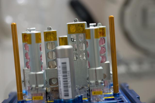 NASA image: BIOLAB TRIPLELUX A EC Closeout