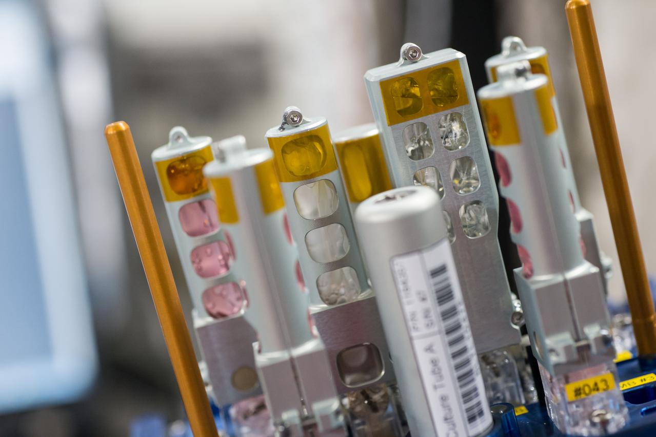 iss043e181153 (May 8, 2015) --- Experiment Container (EC) for the TripleLux-A experiment during removal from Incubator. The TripleLux-A experiment studies the effects of the spaceflight conditions on immune suppression in mice, which will help scientists understand the effects of radiation and microgravity on the human immune system in space.