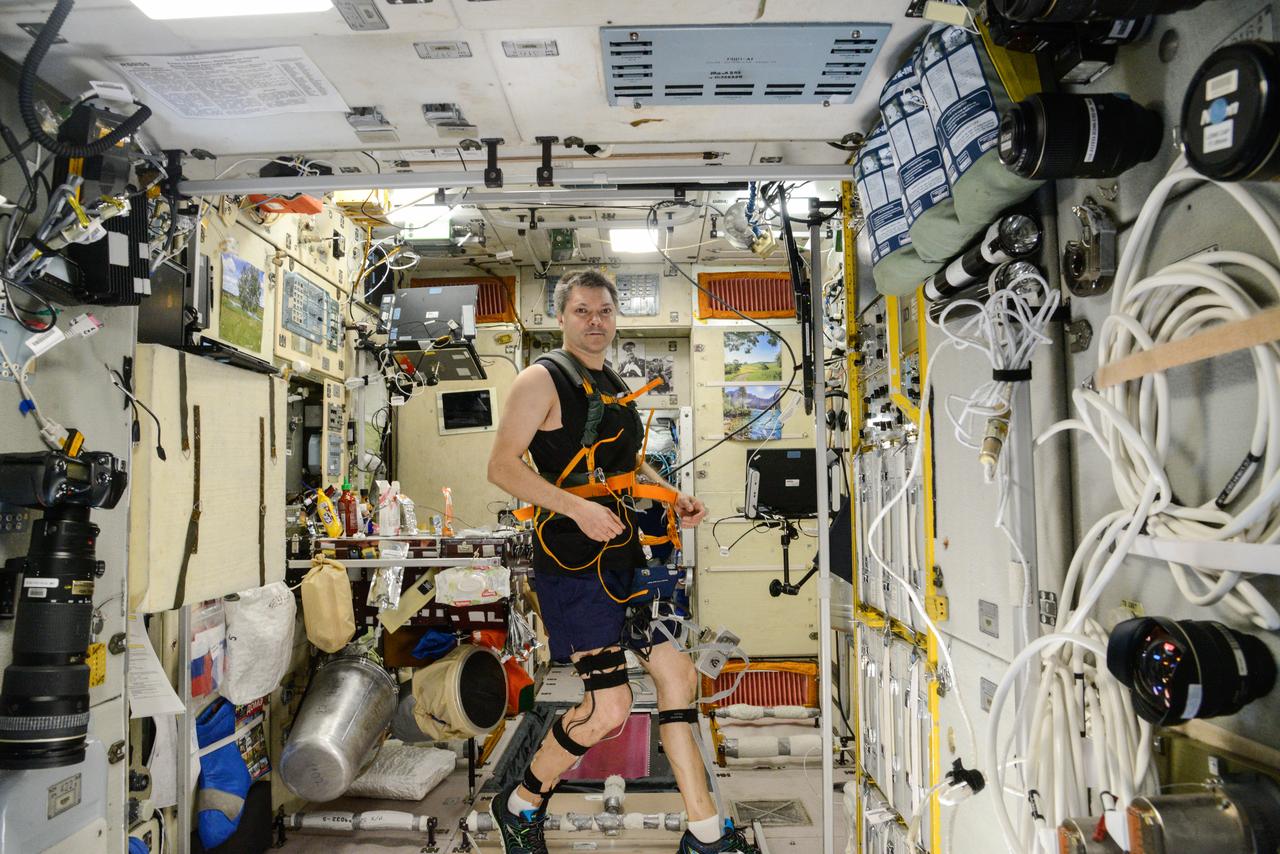 iss045e082558 (10/28/2015) --- Roscosmos cosmonaut Oleg Kononenko, wearing a harness and electrodes, is photographed during Motocard experiment operations in the Zvezda Service Module (SM) aboard the International Space Station (ISS). The Mechanisms of Sensory-Motor Coordination in Weightlessness (Motocard) investigation is carried out on the treadmill and involves locomotion in various modes of running and walking during various modes of operation of the treadmill. During the test, electromyography of the thigh and calf muscles, support structure response, heart rate, and treadmill load parameters (actual speed, time elapsed, distance, integrated indicators for support structure response) are recorded.