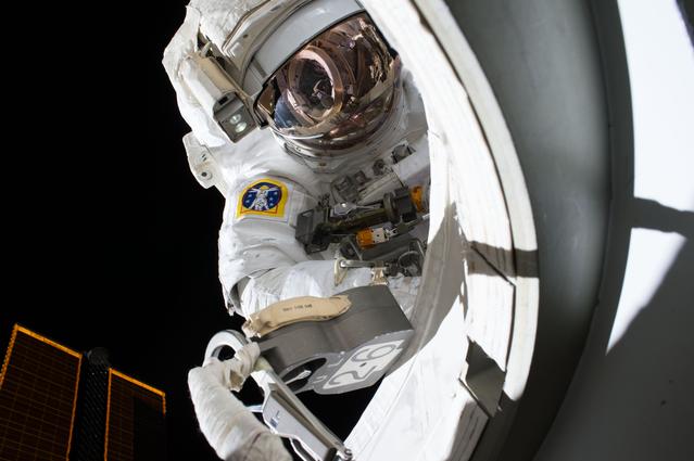 NASA image: View of Kelly outside the A/L during EVA 32