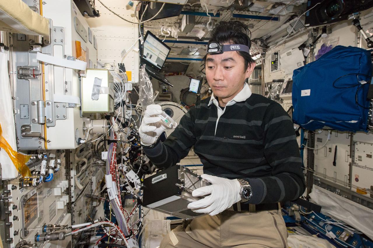 iss045e084267 (10/30/2015) --- Japan Aerospace Exploration Agency (JAXA) astronaut Kimiya Yui works to attach a Plant Experiment Unit to the Cell Biology Experiment Facility (CBEF) prior to Run 1 of the Plant Gravity Sensing 2 experiment.