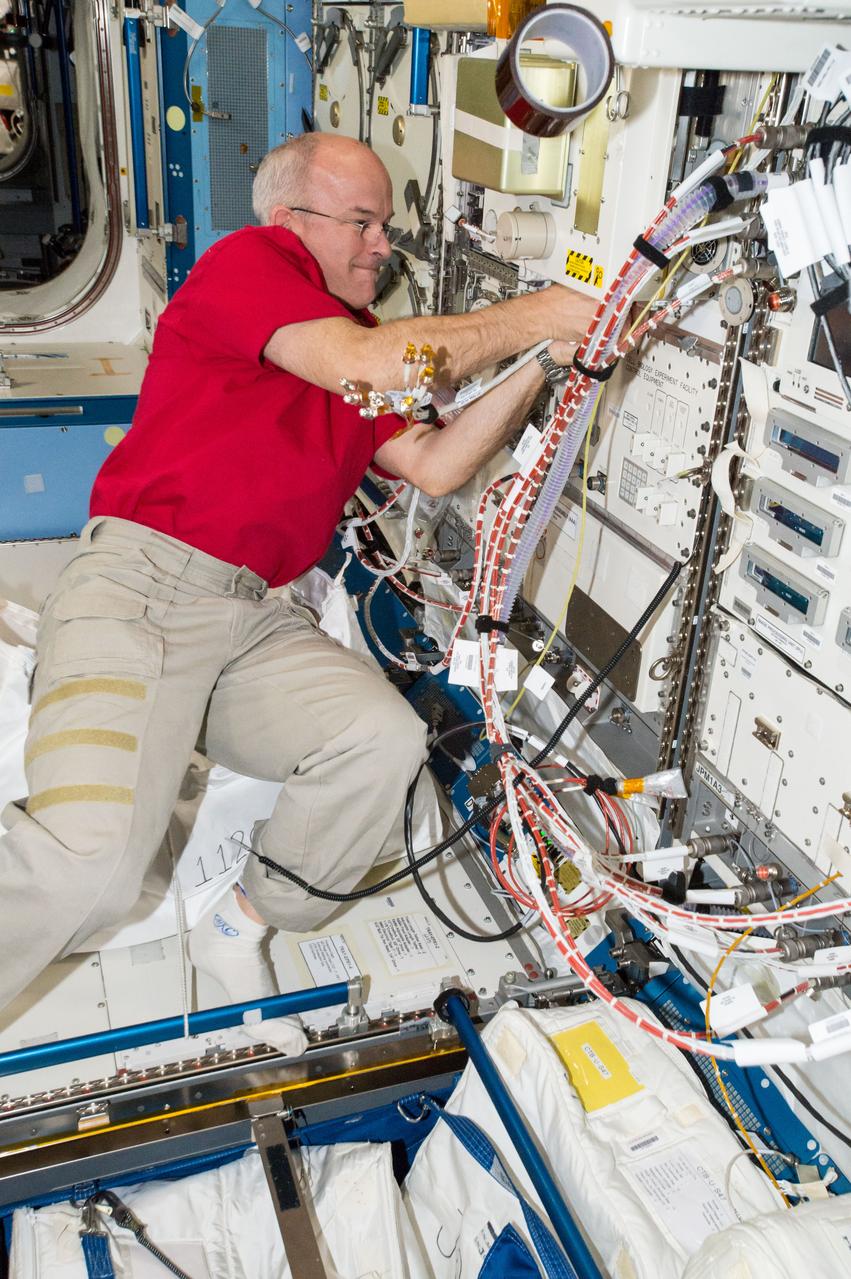 ISS047e032018 (04/01/2016) --- NASA astronaut Jeff Williams works to install the Cell Biology Experiment Facility (CBEF) Cell Mechanosensing Humidifier. Cell Mechanosensing is a Japan Aerospace Exploration Agency (JAXA) investigation that identifies gravity sensors in skeletal muscle cells to develop countermeasures to muscle atrophy, a key space health issue. Scientists believe that the lack of mechanical stress from gravity causes tension fluctuations in the plasma membrane of skeletal muscle cells which changes the expression of key proteins and genes, and allows muscles to atrophy.