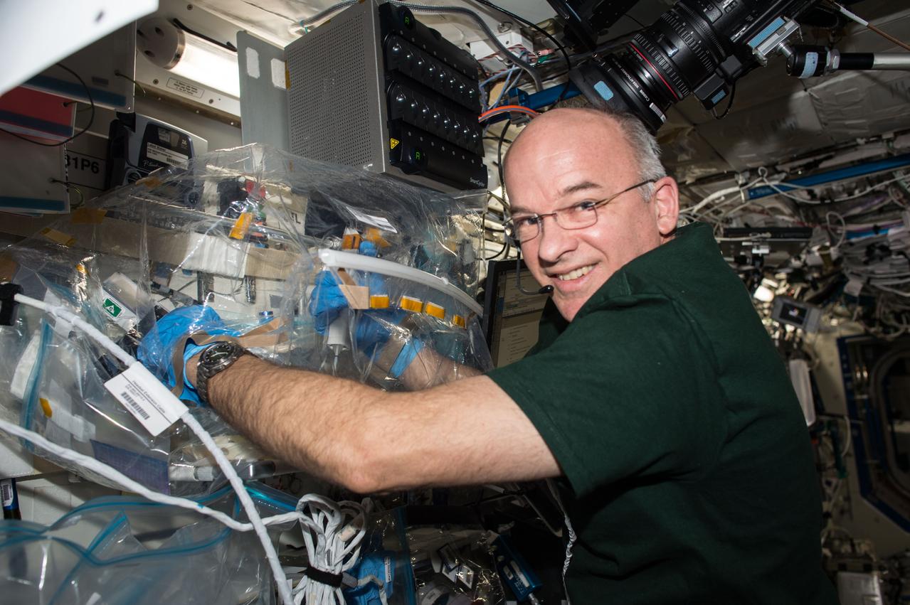 ISS047e066248 (04/19/2016) --- NASA astronaut and Expedition 47 Flight Engineer Jeff Williams works with the Wet Lab RNA SmartCycler on-board the International Space Station. Wetlab RNA SmartCycler is a research platform for conducting real-time quantitative gene expression analysis aboard the ISS. The system enables spaceflight genomic studies involving a wide variety of biospecimen types in the unique microgravity environment of space.
