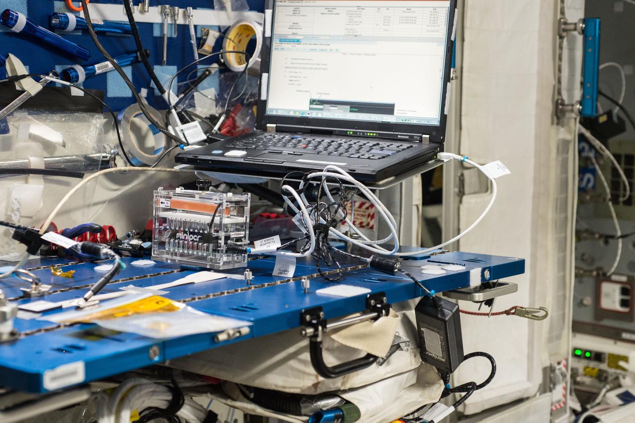 iss047e083547 (4/27/2016) --- Photographic documentation during the Genes in Space experiment showing the polymerase chain reaction (PCR) and miniPCR system as a way to amplify deoxyribonucleic acid (DNA) in space and make it possible to measure and monitor telomere changes during spaceflight. Genes in Space is an innovation challenge including students and teachers across the United States from grades 7 through 12. Students design a pioneering DNA-related experiment to fly on the ISS, providing real-world training in science, technology, engineering and math (STEM) fields and connecting students to the space program.