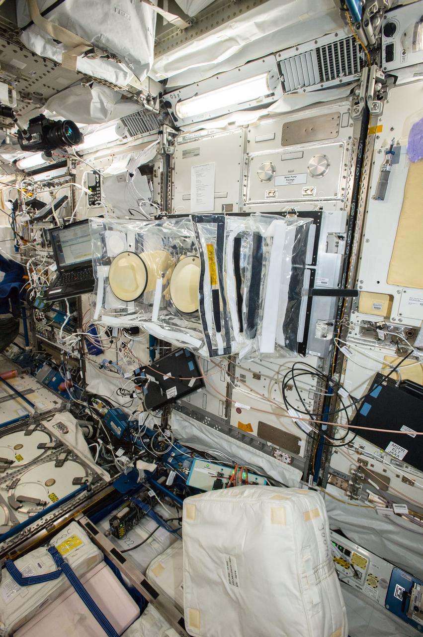iss048e042371 (Jul. 21, 2016) --- Glove Box set up on the Kobairo Rack for the Mouse Epigenetics experiment in the Kibo Japanese Experiment Pressurized Module (JPM). The Mouse Epigenetics experiment studies the effects of the space environment on genetic activity, which can be used as a proxy for understanding how the human body changes in space.