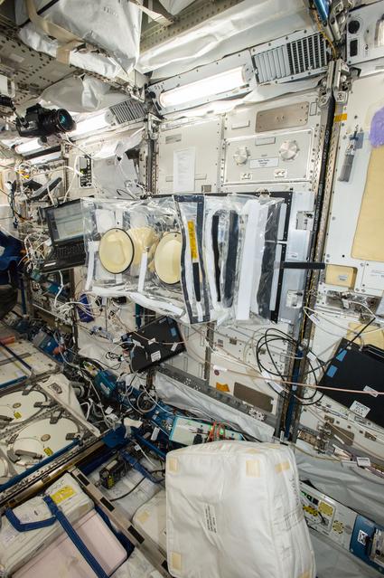 NASA image: Glove Box Set Up in Kibo