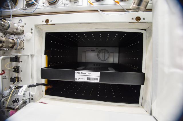 NASA image: Heart Cells CO2 Incubator Controller Setup in SABL