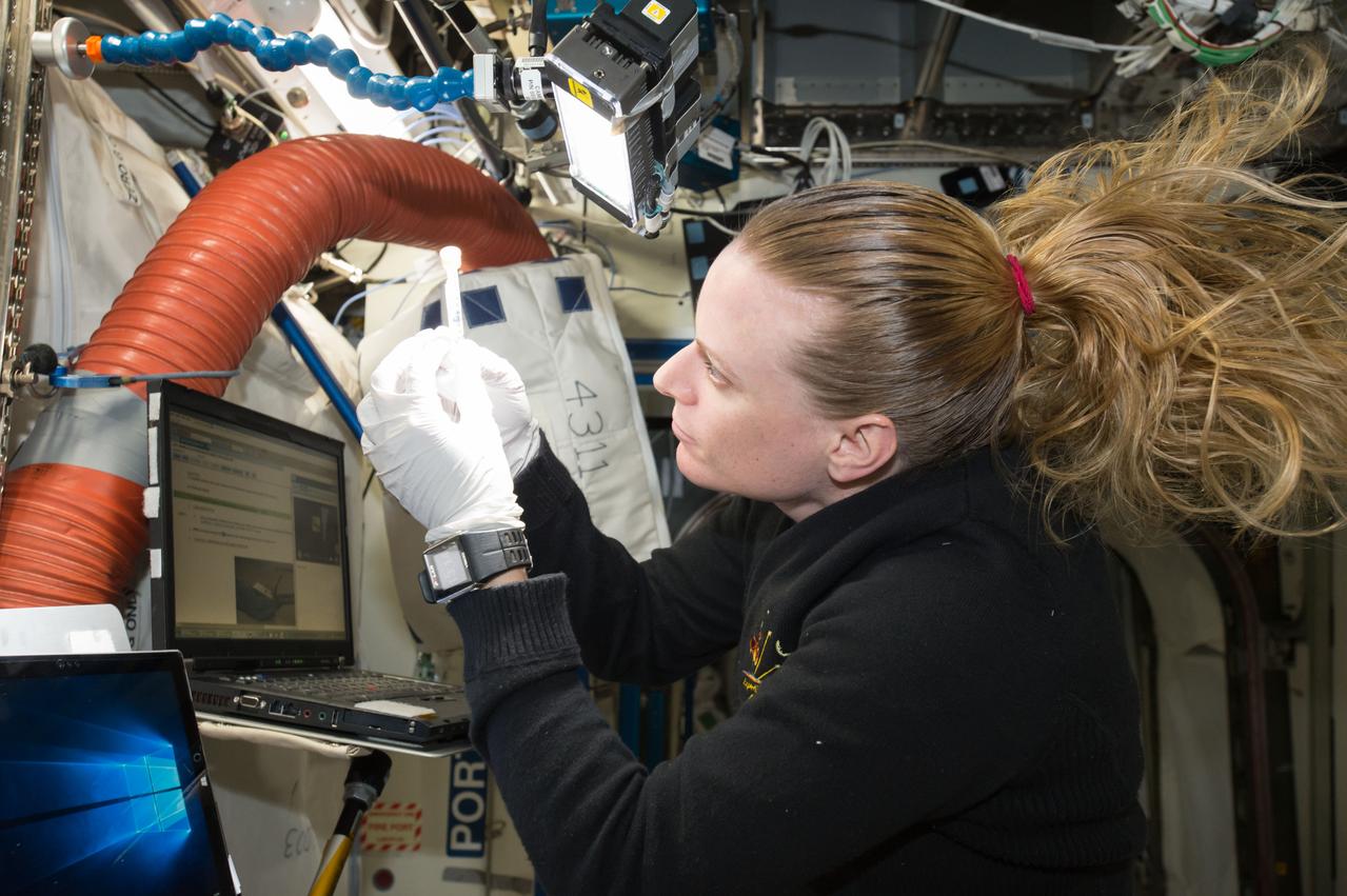 iss048e069880 (9/3/2016) --- NASA Astronaut Kate Rubins makes preparations for the Run 2 sample initialization of the Biomolecule Sequencer experiment. The Biomolecule Sequencer seeks to demonstrate, for the first time, that DNA sequencing is feasible in an orbiting spacecraft. A space-based DNA sequencer could identify microbes, diagnose diseases and understand crew member health, and potentially help detect DNA-based life elsewhere in the solar system.
