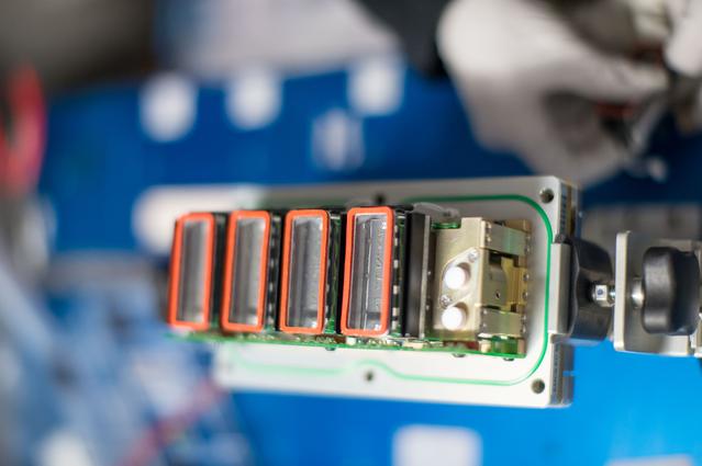 NASA image: Plant Ribonucleic Acid (RNA) Regulation Harvest