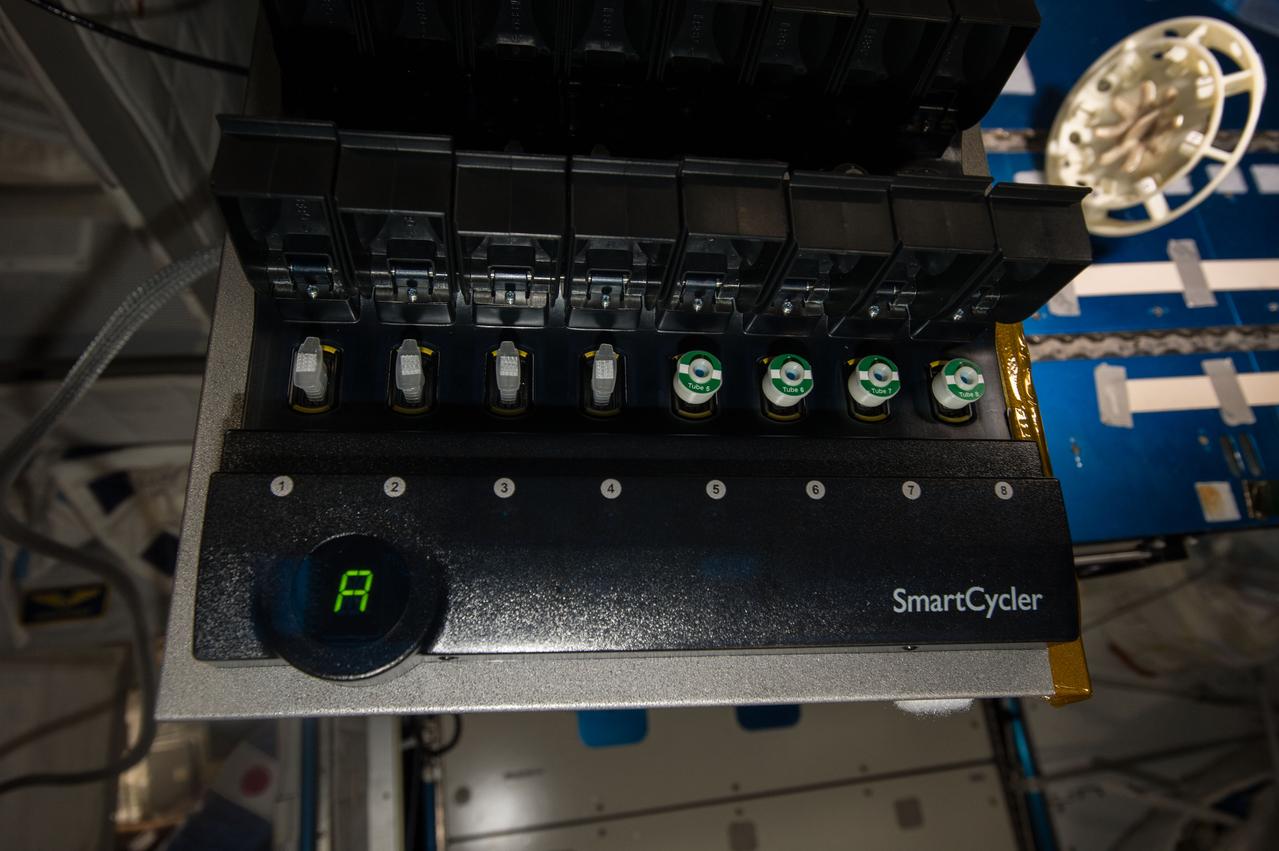 iss049e040752 (10/19/2016) --- A view of WetLab-2 Ribonucleic Acid (RNA) SmartCycler tubes loaded for Session 3. Wetlab RNA SmartCycler is a research platform for conducting real-time quantitative gene expression analysis aboard the International Space Station (ISS). The system enables spaceflight genomic studies involving a wide variety of biospecimen types in the unique microgravity environment of space.