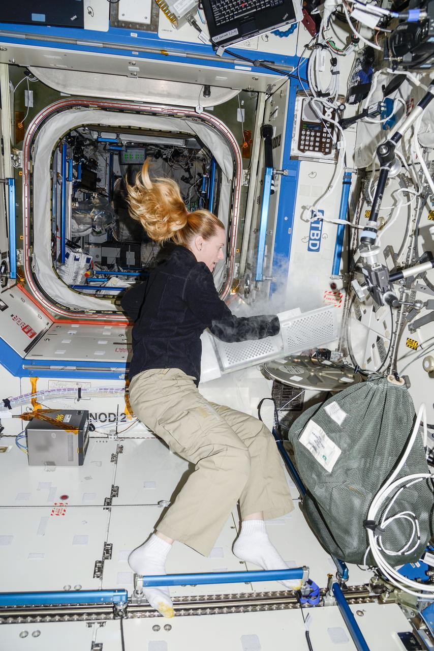 iss049e053079 (9/23/2016) --- NASA astronaut Kate Rubins is photographed in U.S. lab aboard the International Space Station (ISS) performing the second harvest of the Plant RNA Regulation experiment by stowing the European Modular Cultivation System (EMCS) Seed Cassettes from EMCS Rotors A and B in an EMCS Cold Stowage Pouch and placing them in Minus Eighty-Degree Laboratory Freezer for ISS (MELFI). The Plant RNA Regulation investigation studies the first steps of gene expression involved in development of roots and shoots. Scientists expect to find new molecules that play a role in how plants adapt and respond to the microgravity environment of space, which provides new insight into growing plants for food and oxygen supplies on long-duration missions. Sent as part of Russian Return imagery on 47S.